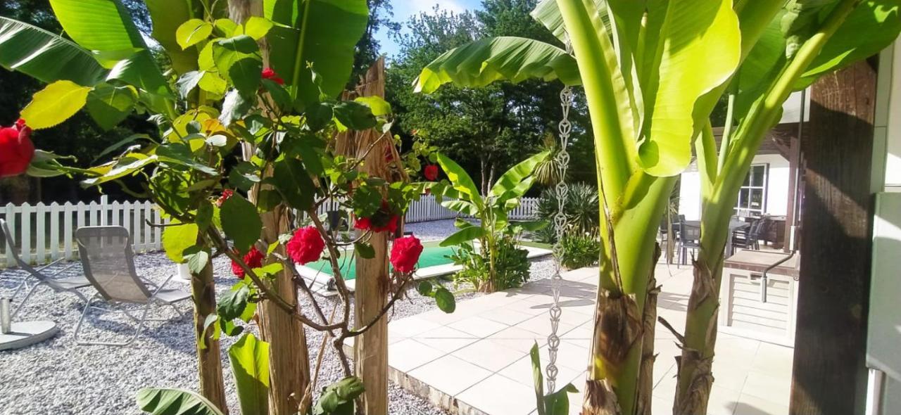 La Villa Minvia Les Landes Entre Mer Et Montagne Saint-Vincent-de-Paul  Εξωτερικό φωτογραφία